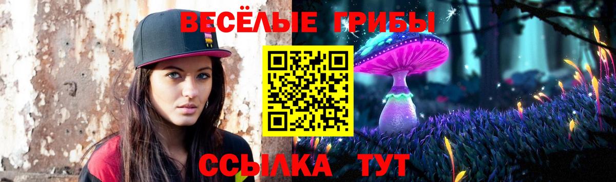 Псилоцибиновые грибы мицелий  даркнет сайт  Джанкой  Вход с VPN  Псилоцибиновые грибы мухоморы 